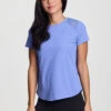 Always In Motion Mesh Tee -Rbx Active Wear Shop 879300c1 25d4 4204 8240 9a5fb9880aff